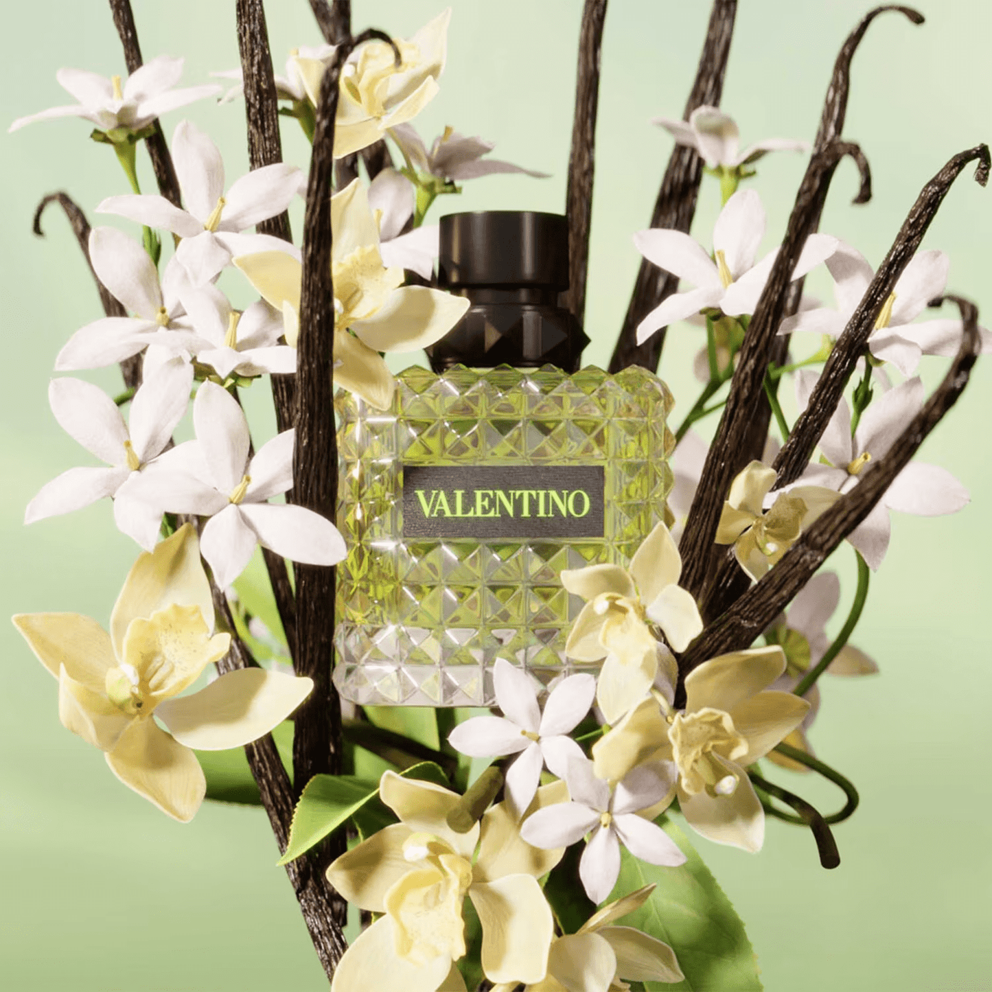 Valentino Born in Roma Green